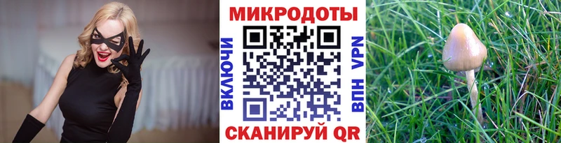 цена наркотик  Свободный  Псилоцибиновые грибы Psilocybe 